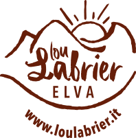 logo-2
